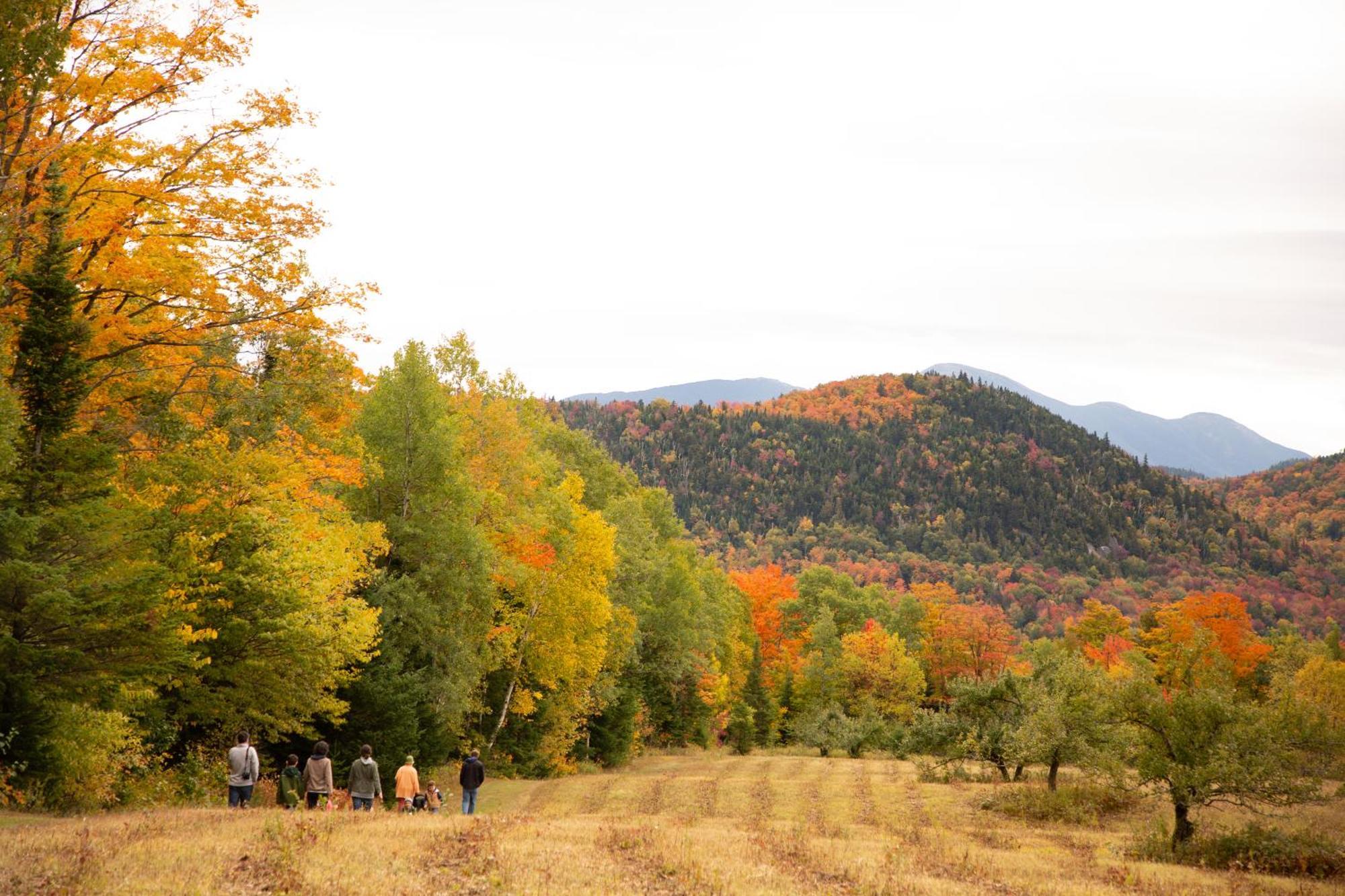 Lake Placid Inn: Residences Esterno foto